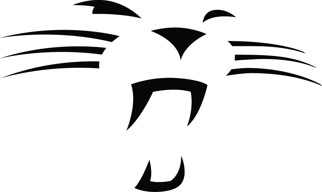 Carolina Panthers 2012-Pres Alternate Logo iron on transfers for T-shirts version 2